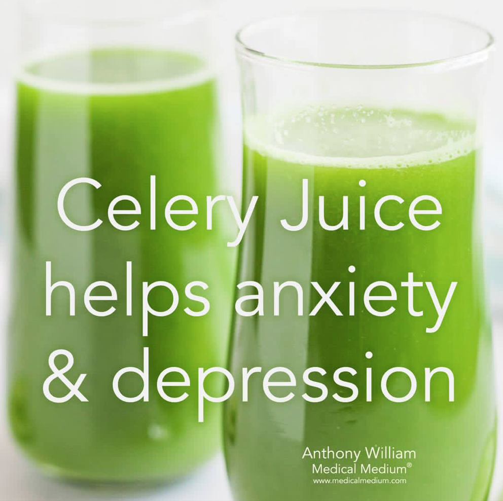 西芹汁如何帮助疗愈焦虑、烦躁、抑郁和各种情绪问题 How Celery Juice Helps Heal Depression