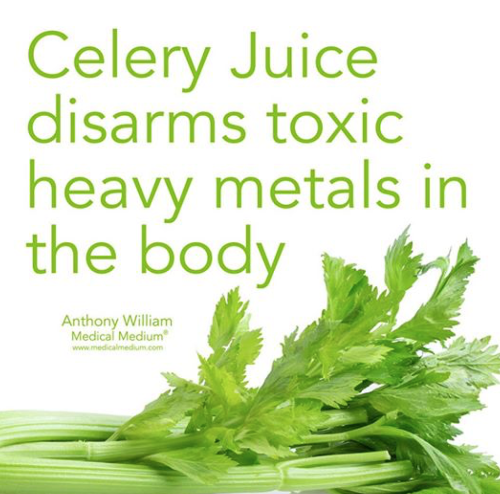 西芹汁如何帮助解除体内有毒重金属毒性 Celery Juice & Toxic Heavy Metals