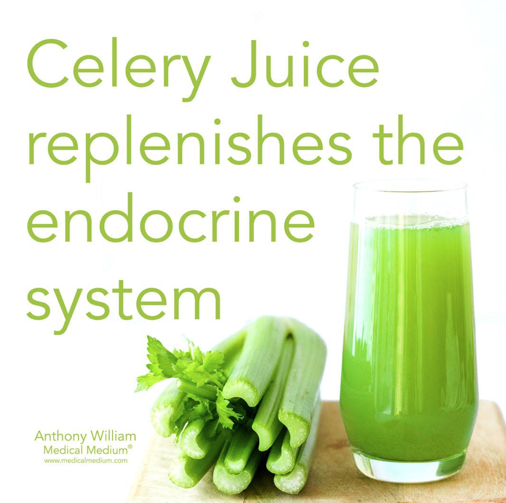 西芹汁如何帮助疗愈各种甲状腺问题 How Celery Juice Helps Heal Thyroid Problems
