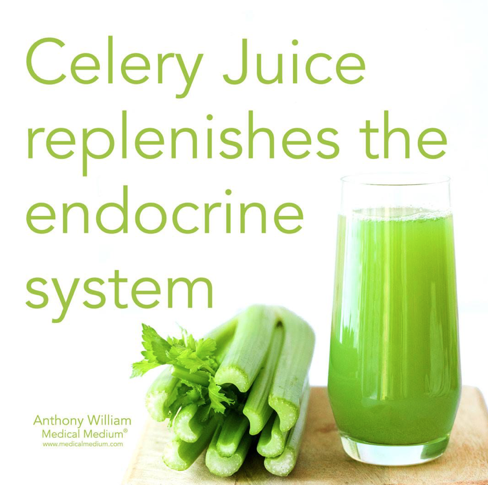 celery juice endocrine.png