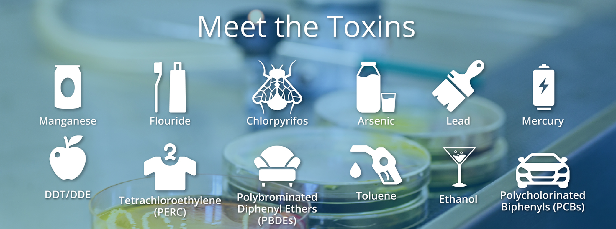 meet the toxins.png