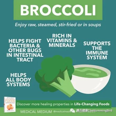西兰花 ： 人体复合维生素 Broccoli