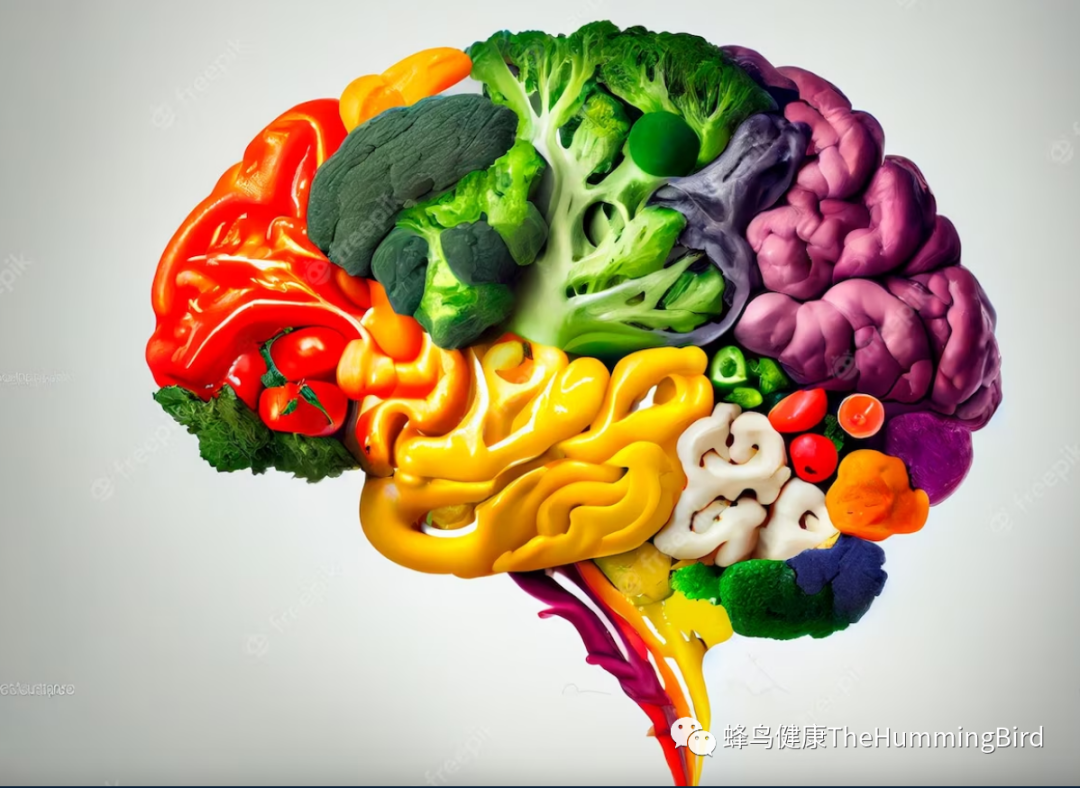 拯救大脑（十四）- 大脑的组成和营养检测