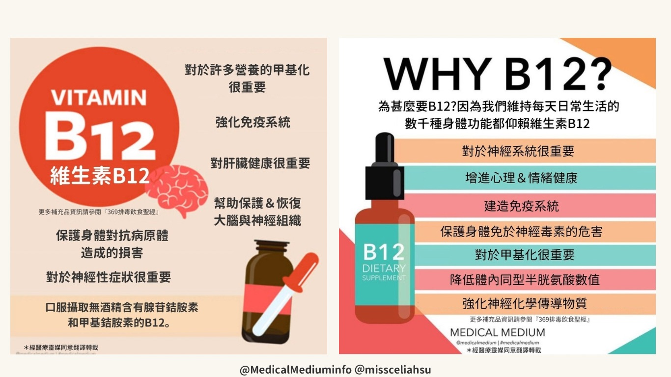 基础四件补充剂-图片3