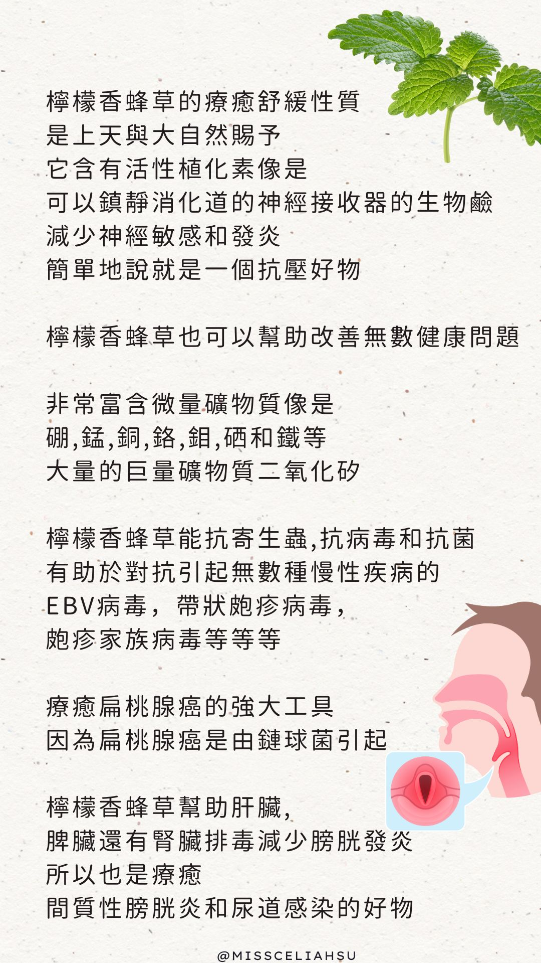 基础四件补充剂-图片7