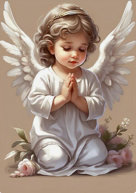 改变生命的天使与守护自然的仙子-图片2