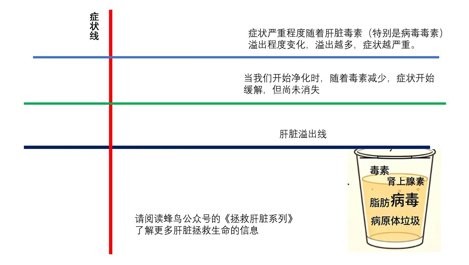 疗愈过程到底在发生什么，为什么疗愈是前进三步后退两步的过程-图片1