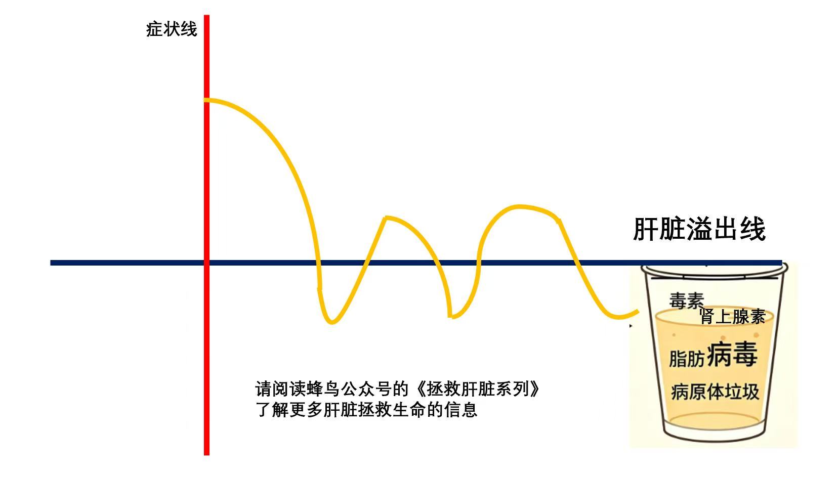 疗愈过程到底在发生什么，为什么疗愈是前进三步后退两步的过程-图片2