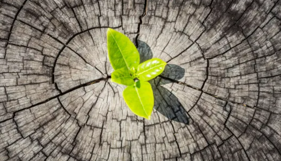 肌无力、重症肌无力、身体僵硬、僵硬人综合症的原因和疗愈-图片2