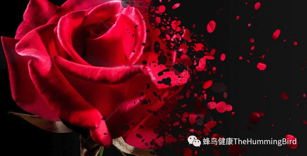 关于安东尼威廉-图片4