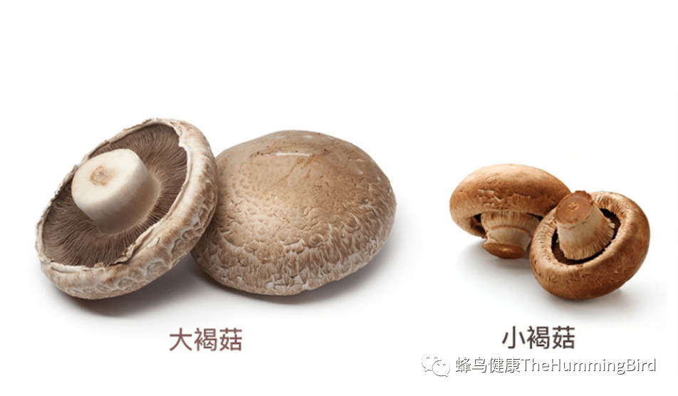 蒜香菌菇配烤红薯片-图片2