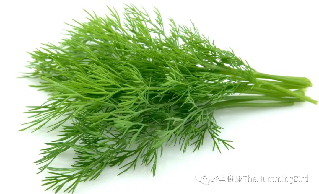 大脑疗愈小饮（转化系列） 转化食物恐惧小饮-图片3