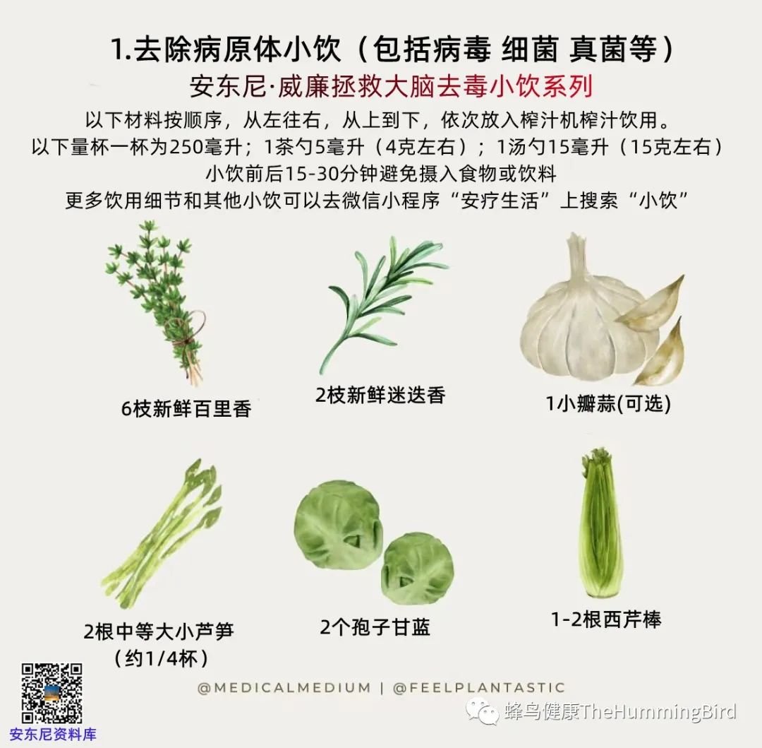 大脑疗愈小饮（去毒系列） 去病原体小饮-图片2