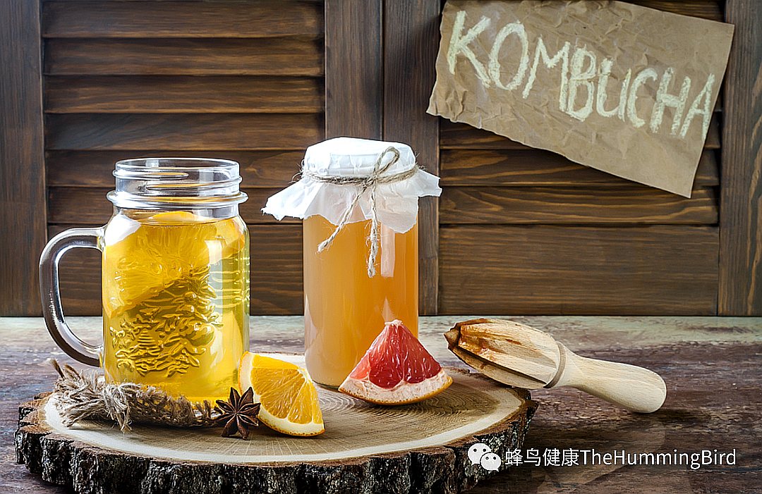 康普茶的迷思