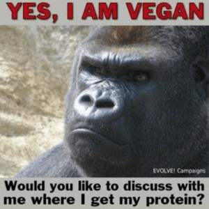 蛋白质的真相 & 高蛋白饮食的健康影响 & 不吃肉蛋奶如何补充蛋白质？ 1-图片6