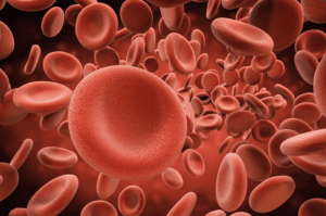 雷诺综合症-图片4
