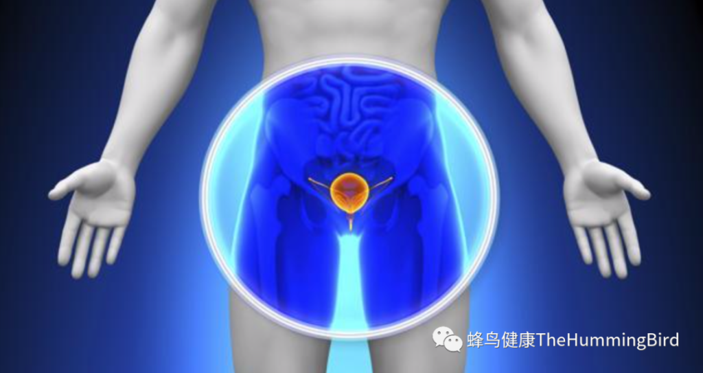 【疗愈案例】婴儿贫血问题、前列腺问题、肾结石的疗愈-图片5