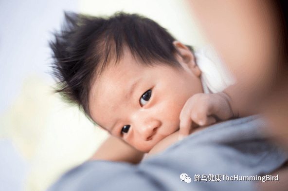 最接近母乳的婴儿奶配方-图片2