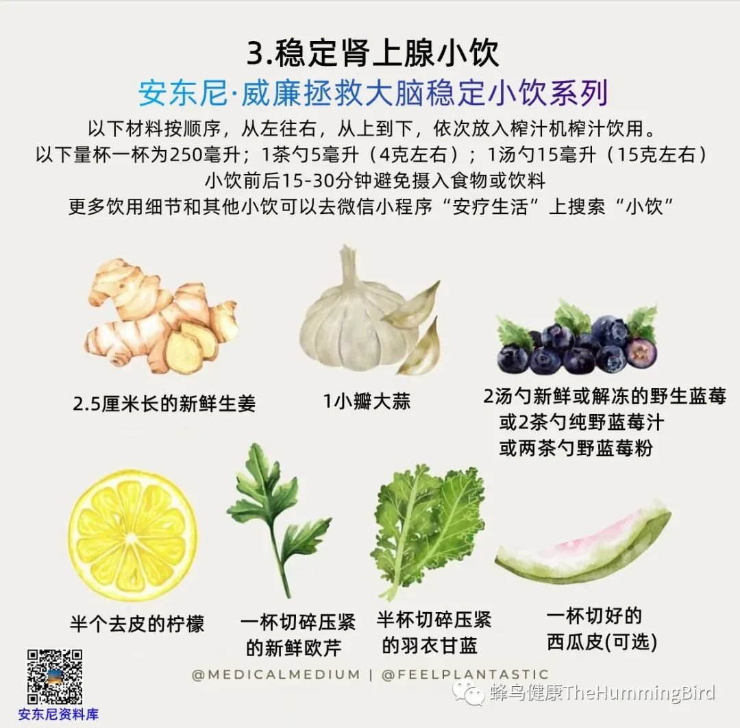 大脑疗愈小饮（稳定系列） 稳定肾上腺小饮-图片2