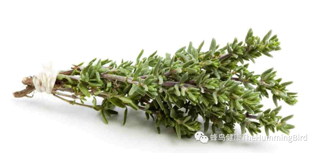 百里香茶密集疗法-图片2