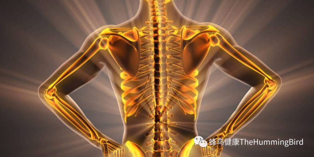 牛奶真的能补钙吗？如何改善骨质疏松？如何正确补钙？骨折后如何尽早恢复？-图片3