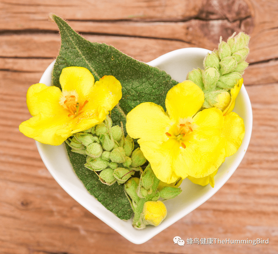 毛蕊花