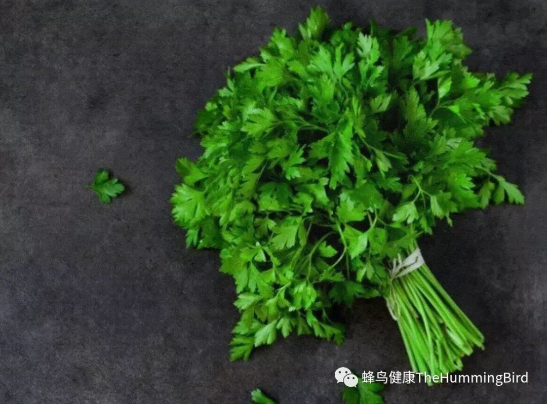 欧芹：碱化草本-图片4
