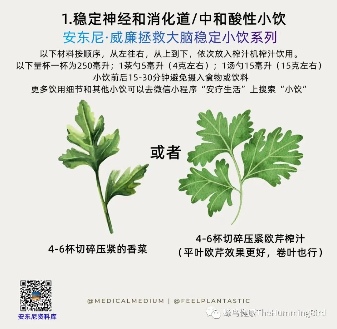 大脑疗愈小饮（稳定系列） 稳定神经和消化道／中和酸性小饮-图片2
