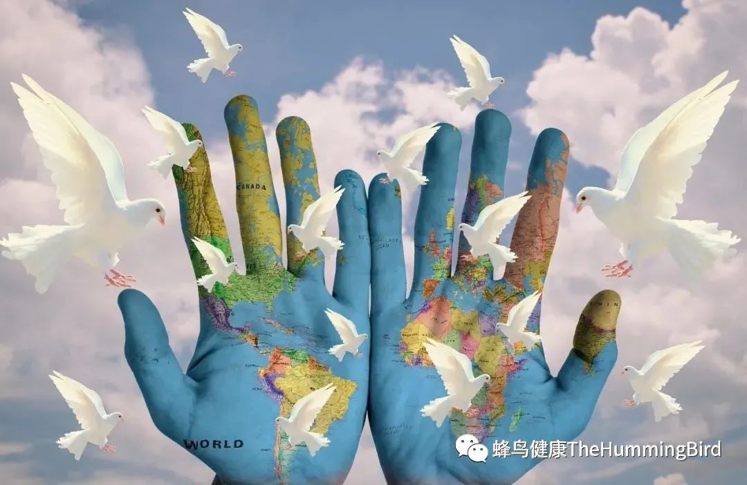 更多安东尼威廉信息-图片10
