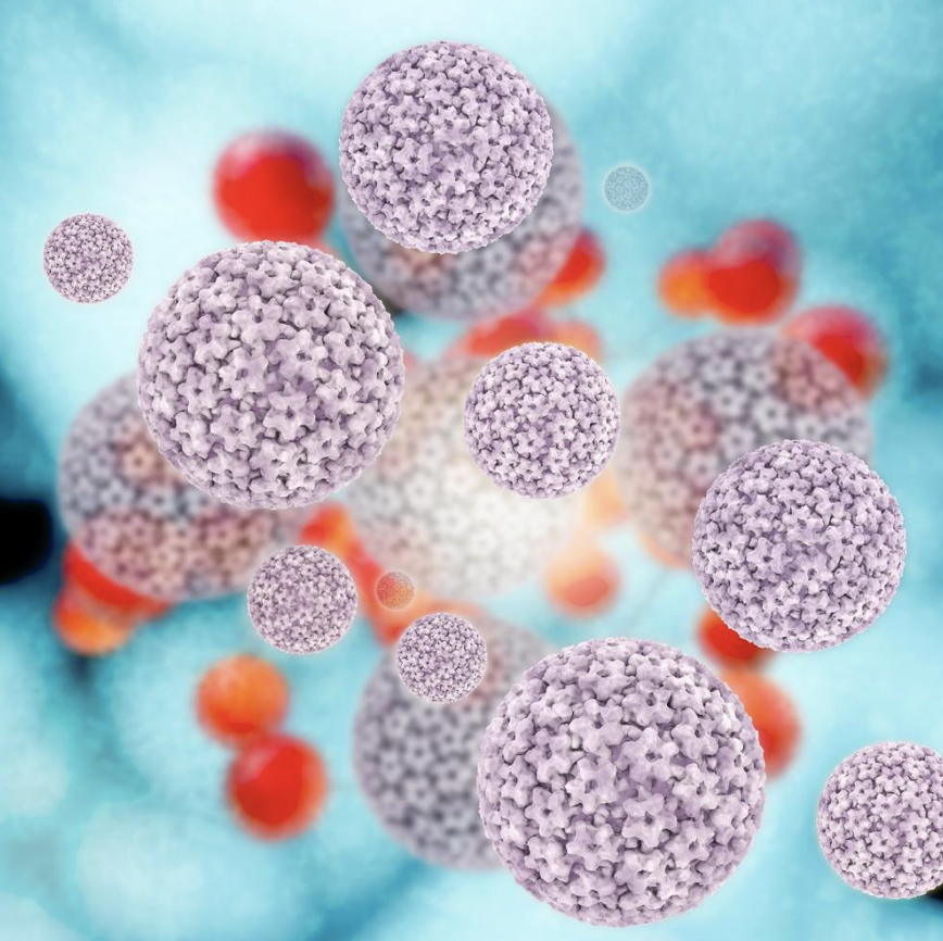 西芹汁如何帮助对抗HPV（人类乳头瘤病毒）病毒