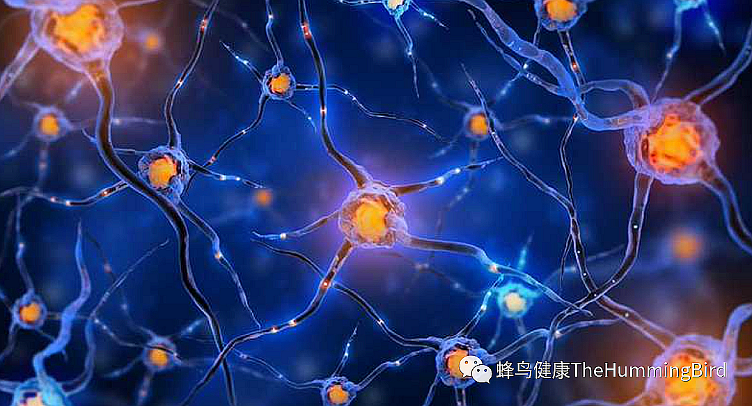 拯救大脑（一）- 静噪大脑