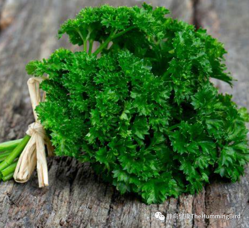 欧芹:碱化草本-图片4