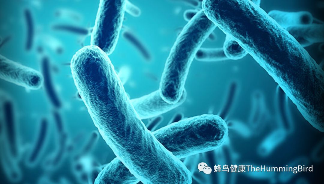 西芹汁如何帮助疗愈憩室炎-图片2