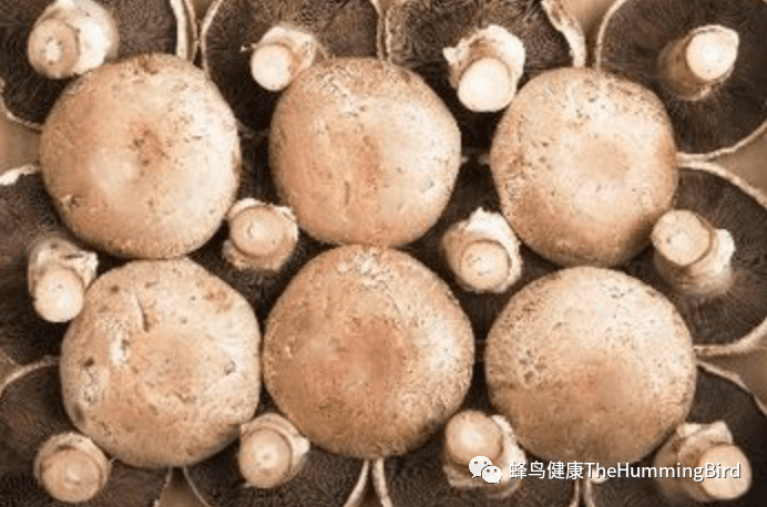 波特菇(牛排菇、褐菇)炖菜-图片2