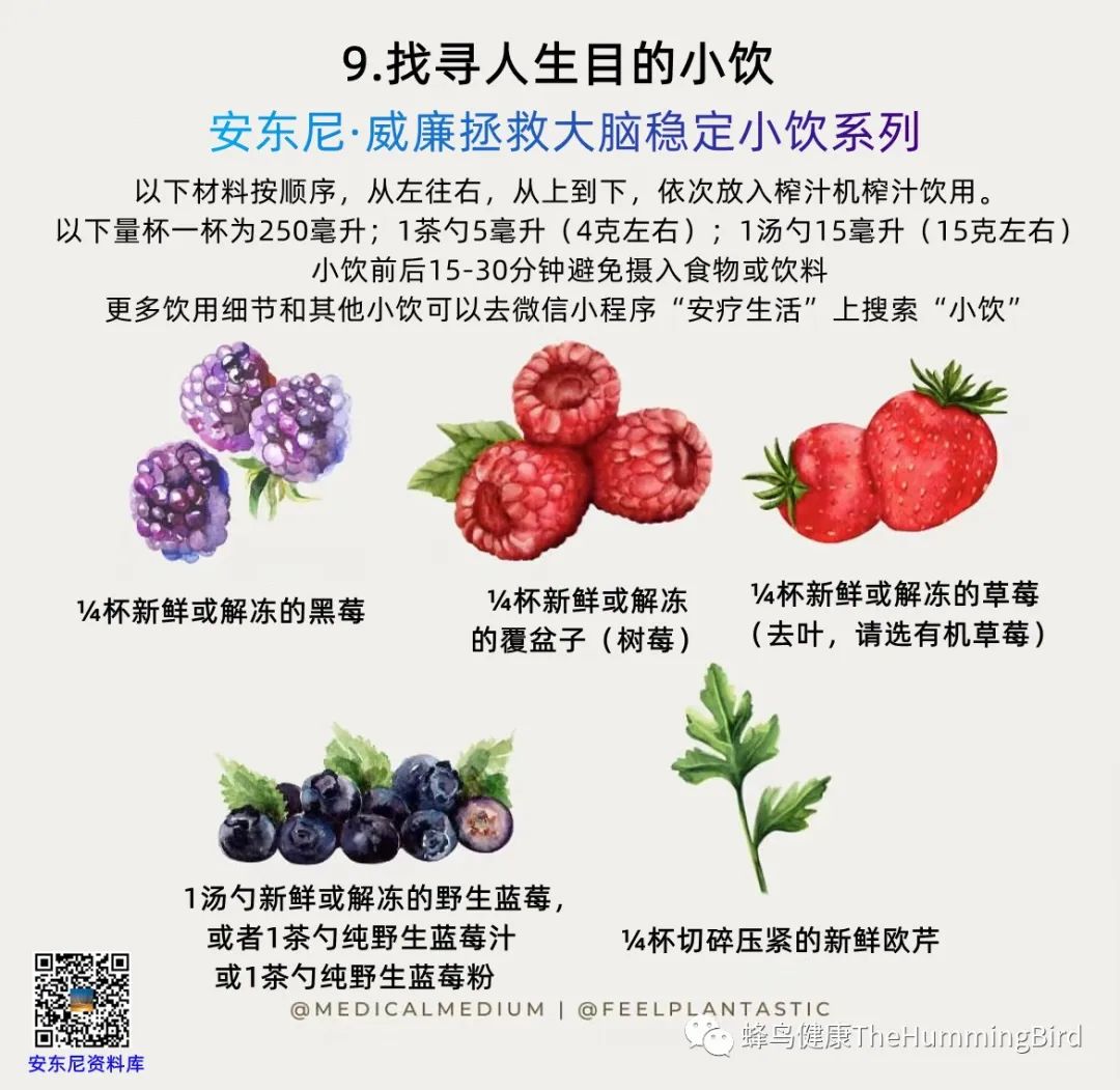 拯救大脑疗愈小饮（稳定系列） 找寻人生目的小饮-图片2