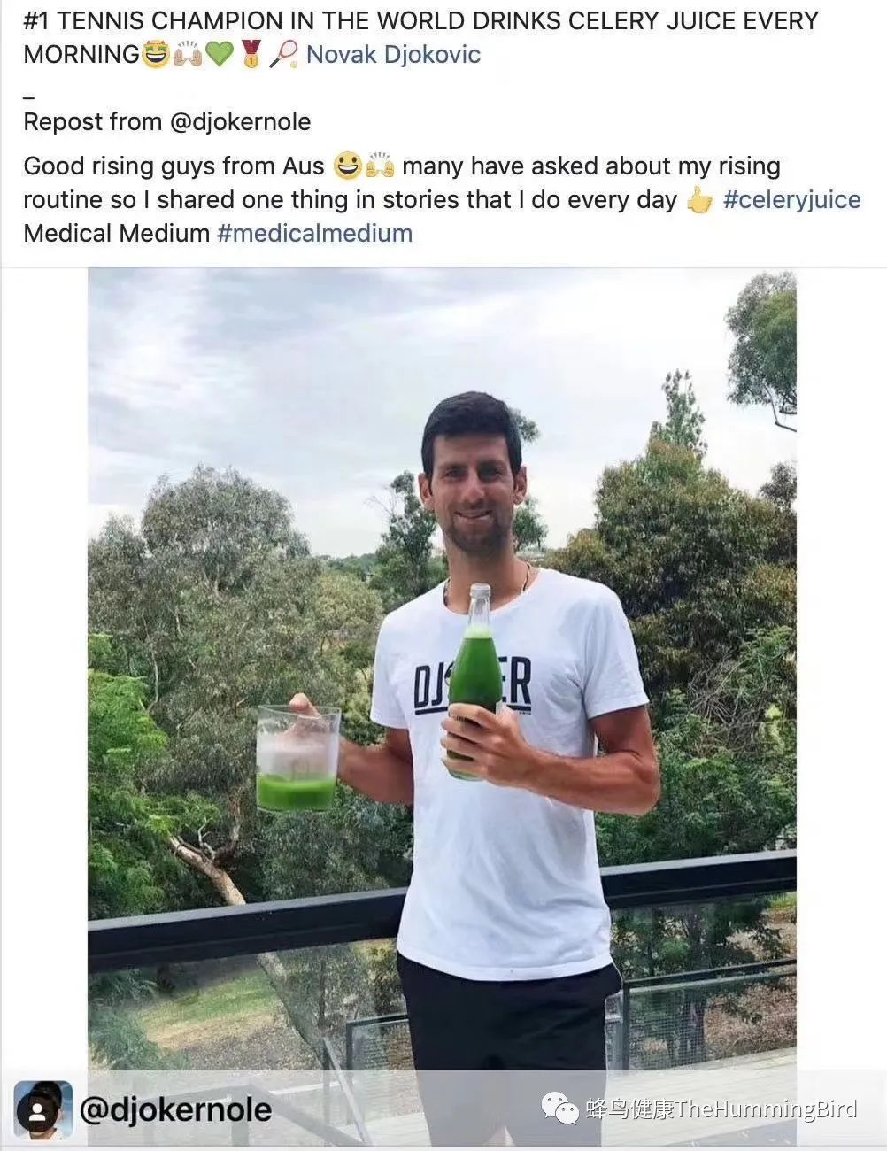 蛋白质是增长肌肉的关键吗？纯素食能支持高强度运动吗？素食缺乏蛋白质吗？（附实践者分享）-图片1