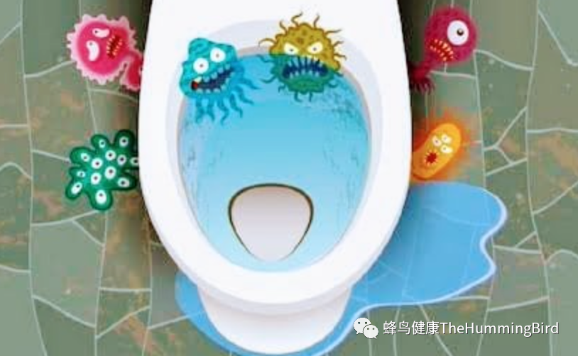 公共卫生间如厕指南-图片2
