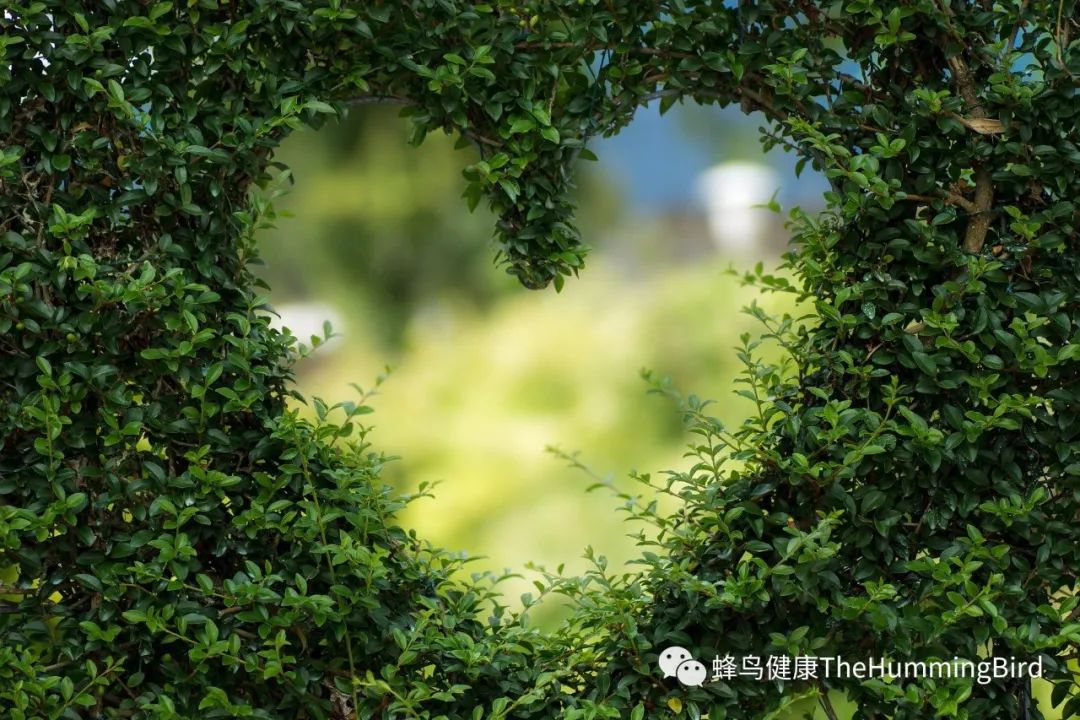 更多安东尼威廉信息-图片2