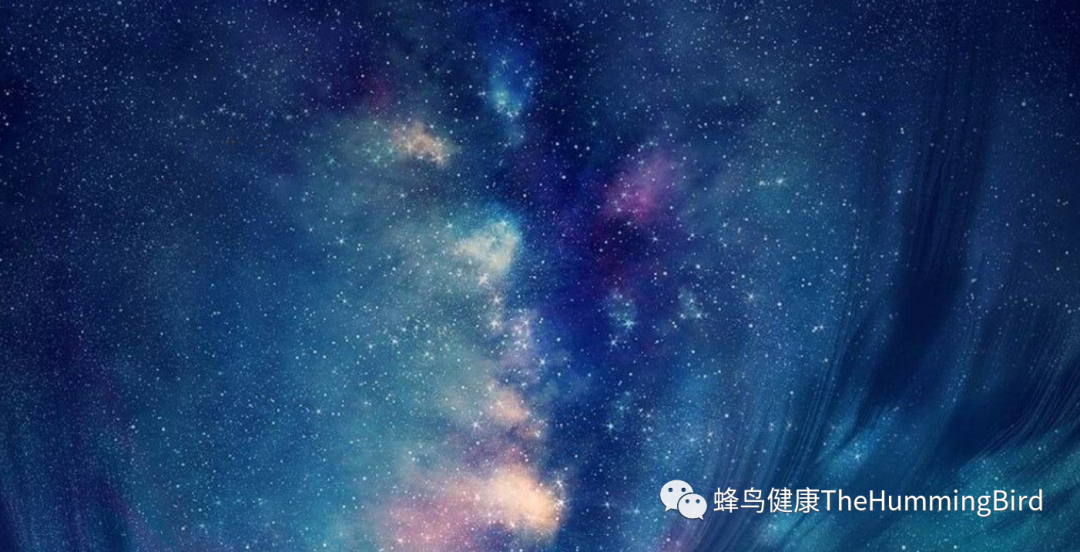 关于安东尼威廉-图片1