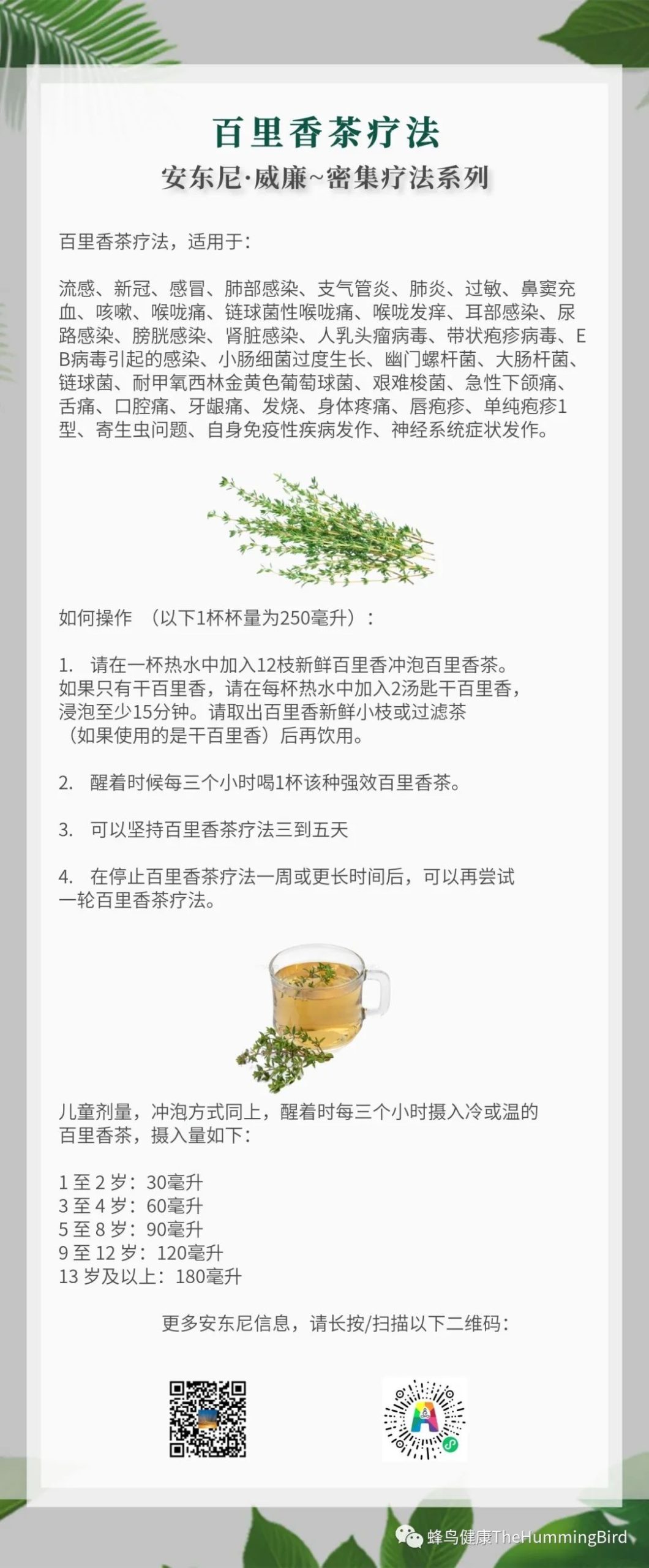 百里香茶密集疗法-图片5