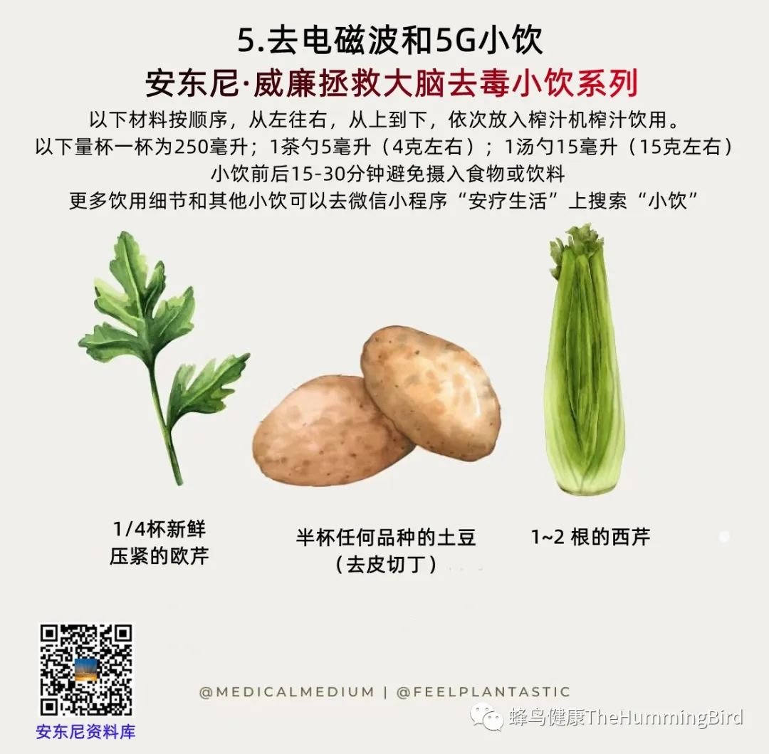 大脑疗愈小饮（去毒系列） 去电磁波和5G小饮-图片2