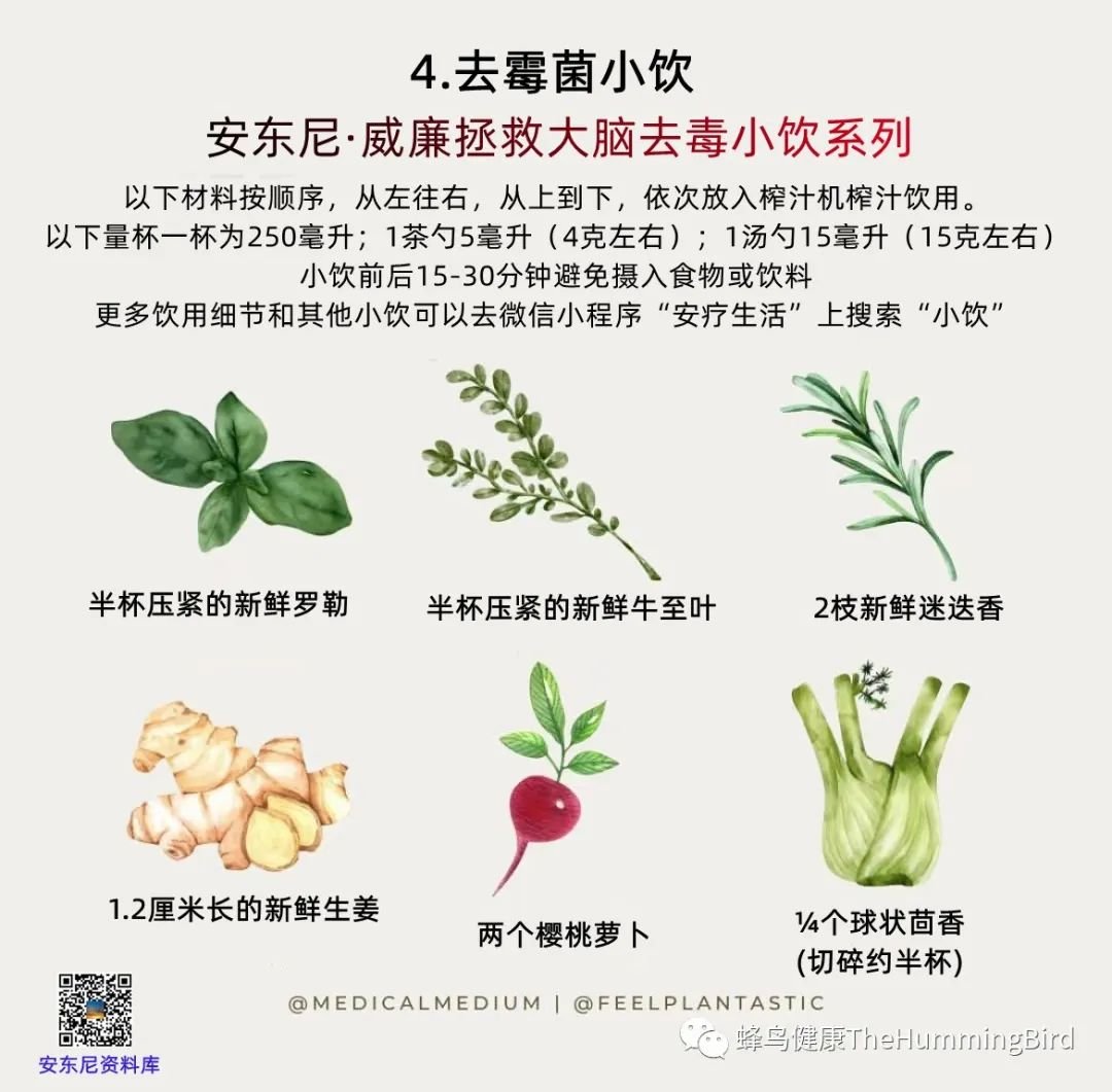 大脑疗愈小饮 （去毒系列） 去霉菌小饮-图片2