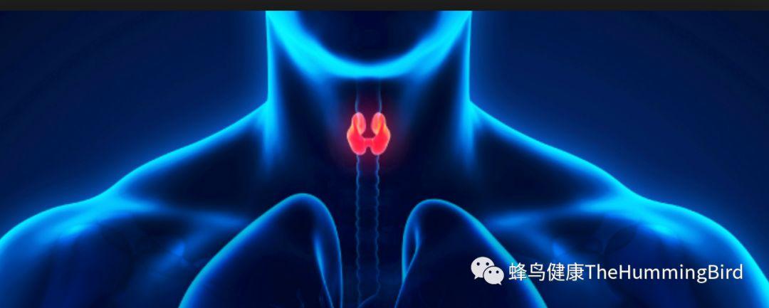 疗愈甲状腺结节、脂肪肝、乳腺增生、血脂问题、水肿消失-图片6