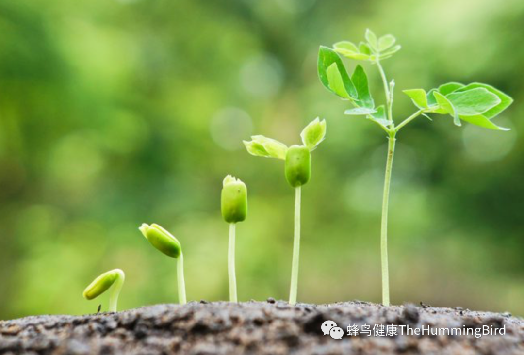 慢性愤怒、神秘内疚、恐惧和担忧、悲伤的原因和疗愈-图片6