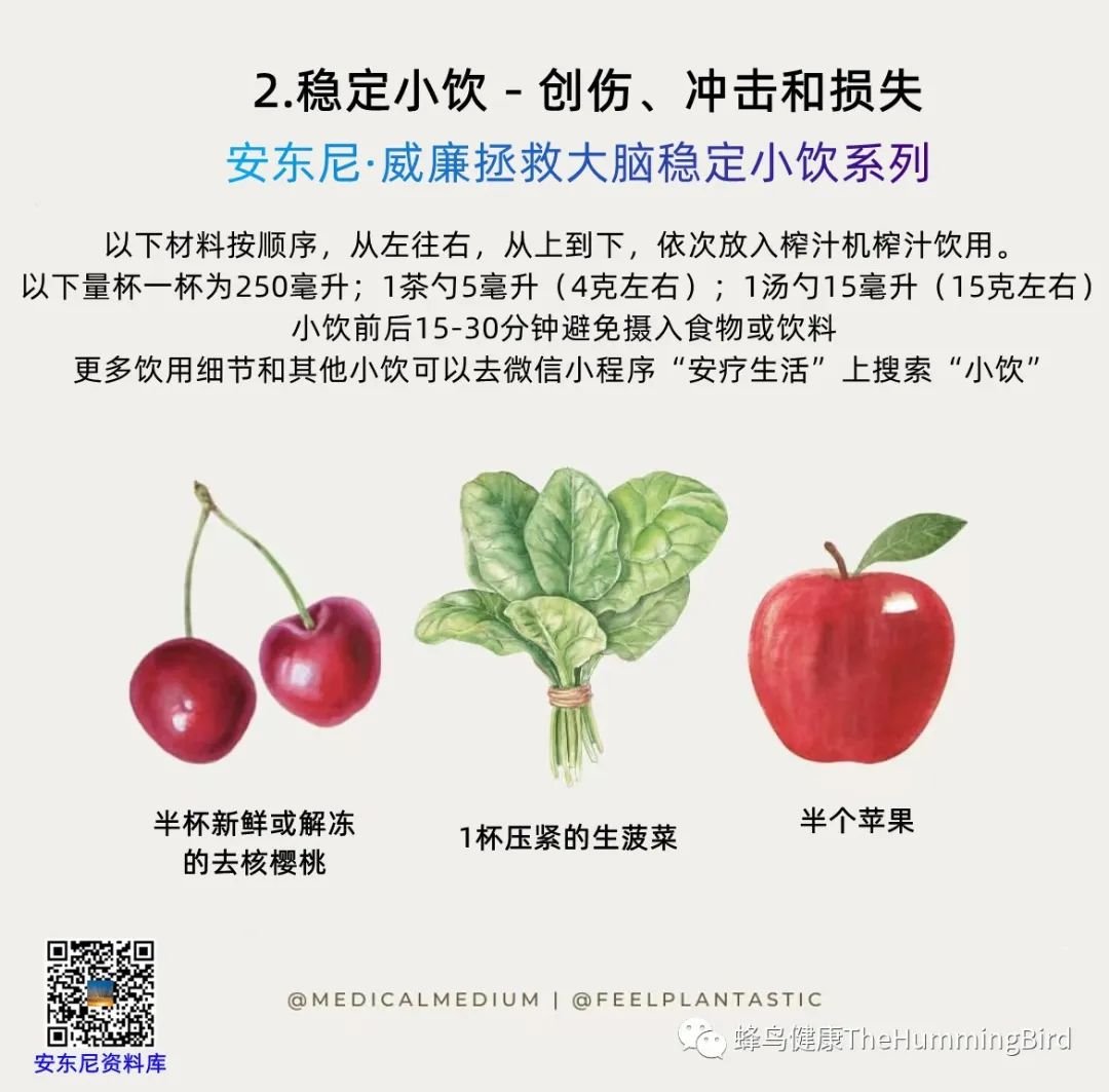大脑疗愈小饮（稳定系列） 创伤、冲击和损失稳定小饮-图片2