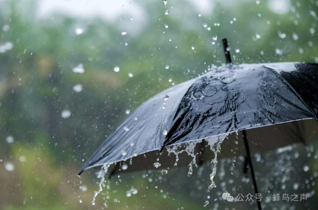 看不见的健康威胁（18）- 化学凝尾和降雨-图片2