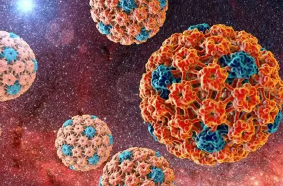 【摘要速查】 病毒篇（五）：人乳头瘤病毒HPV、艾滋病毒HIV、流行病毒