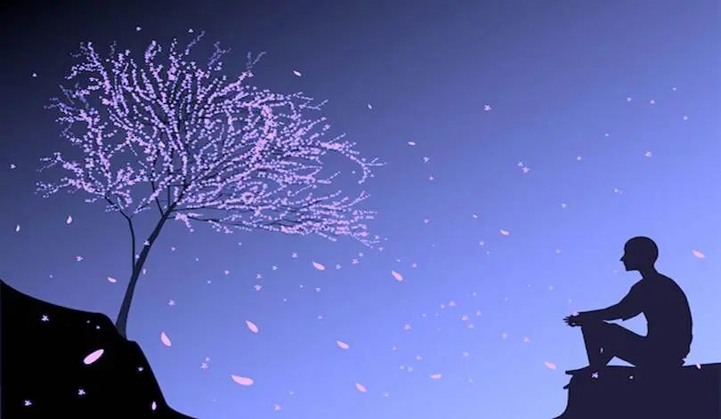 打破低谷：像橡树一样坚强-图片4