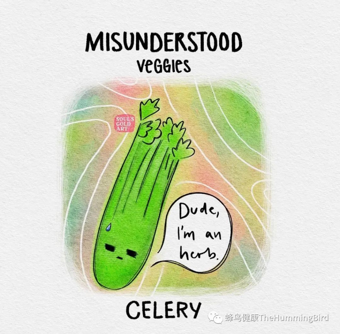 西芹汁如何帮助疗愈乳腺密度增高