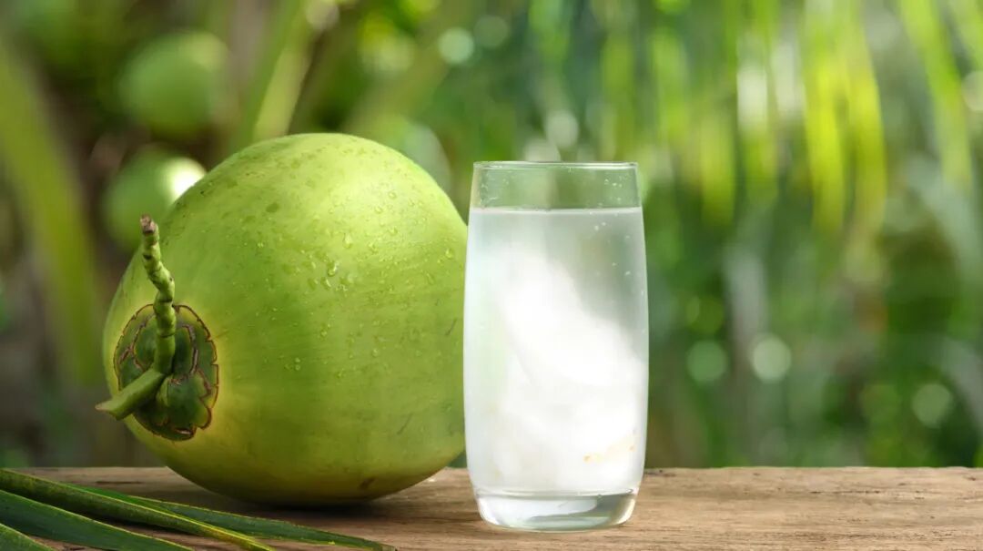 疗愈食物的灵性启示（多分类2）-图片4